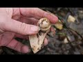 More Winter Storms  Bring  Mudlarking Treasures To The Surface!