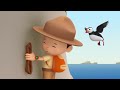 Animals That Fly Minisode Compilation - Leo The Wildlife Ranger | Animation | For Kids
