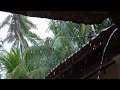 Moments In Nature | The Home | Jungle | Wild Jungle Relax | Nature Forest | Travel