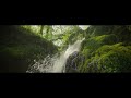 Sirui 35mm Anamorphic - Transforming life into a movie