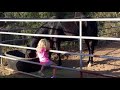 Little Girl’s Dream of a Horse Comes True 🐴❤️