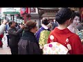 A Stroll Through Geisha District, Hanamikoji & Pontocho in Gion Kyoto | 京都祇園、花見小路と先斗町の外国人と舞妓さん！海外の反応