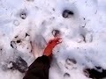 barefoot snow hike on mild january day