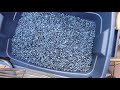 Fastest way to Cleaning Wild Blueberries: By The World's Fastest Wild Blueberry Picker