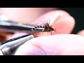 Massacre Midge Fly Tying Instructions by Charlie Craven