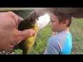 1lb Panfish on Green Worms