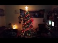 Christmas tree 2014