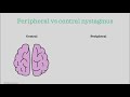 Nystagmus - test and interpretation [Essential medicine]