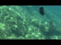 Snorkeling in Fig Tree Bay - Protaras - Cyprus | DiCAPac Canon