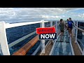 MSC Seashore Cruises|December 2023||Bridge of Sights|