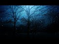 Relaxing sleep music - Stress Reliever Music - Brain relaxation songs and Share insomnia