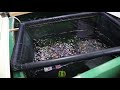 Koi Fry Unboxing - What i learned from last year