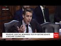 Josh Hawley Takes No Prisoners Grilling Key Judicial Nominee: 'Why Are You Fighting Me On This?!'