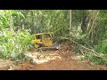 CAT D6R XL Bulldozer Operator Tries to Push Big Tree, Here’s What Happened