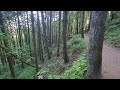 Fox hollow trail Eugene Oregon