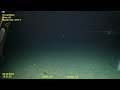 NEW VIDEO shows Titan submersible's tail on ocean floor after explosion