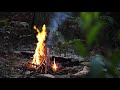ESCAPE TO THE BUSH | New Knife/ Bush Tucker/ Gourmet Campfire Cooking