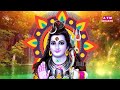 लाखों लोगों की जिंदगी बदल दी इस भजन ने   Shiv Ji ke Bhajan   Bholenath Bhajan   Bhajan