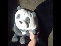 Panda does a dance