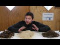 Fatal Wood Chip Gardening Mistakes Beginners Are Making - Back To Eden Gardening