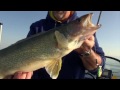 Bottom Bouncing for Walleye