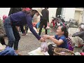 Daily Life of Girl Live Alone in a Remote Mountain Forest Village Vietnam. Harvest Sweet Potato