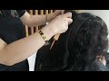 How to Blow dry with natural wavy for curly Hair by:veronchannel#Hairstylish#saloon