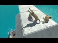 Lava and Water Challenge | Don't Fall Into Pool Trap - Animal Revolt Battle Simulator