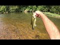 Sam A Baker State Park has some beautiful water, smallmouth, largemouth, and rock bass.