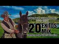 Vicente Fernandez - 20 Exitos Mix - Canciones que Van Con Los Ano