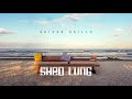 SKIZZO SKILLZ / Shed Lung (Song Snippet)