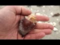 Florida Shelling! Naples/Gordon's Pass: Finding SHELL treasures!