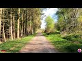Irish woodland run 4K | Virtual treadmill running | Explore Ireland | County Armagh | ASMR | 30 min