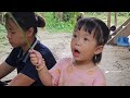 Harvesting wild vegetables for sale -cooking from wild vegetables-the bad guys are looking to attack