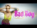 STEFANIA - Bad Boy | Official Visualizer