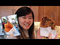 I Tried Making Taiwanese XXL Fried Chicken From Scratch (Taiwan Street Food Recipes) 雞排