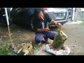 koleksi bahan bonsai,tutorial simpel cocok untuk dipraktekan🌲😇🌿