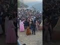 Pahari Naati, Shimla 🔥🔥