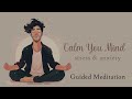 Calm Your Mind, 20 Minute Guided Meditation for Stress & Anxiety