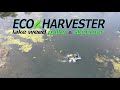 Eco-Harvester 2020 Drone Video Skimming Algae & Pulling Aquatic Weeds