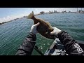 San Diego Bay Harbor Island ￼Hobie Kayak Fishing Halibut 2024