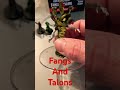 Fangs and Talons Unboxing #shorts #minis #gaming #dnd