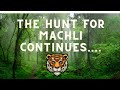 The Hunt for Machli Part I