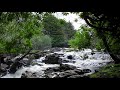 Forest Waterfall Nature Sounds for Calming Sleeping - Natural 8hr River Water Flowing Relaxing Sound