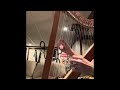 Harpsicle Harp new player day 1 - all the wrong technique but a nice sound!  :)