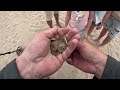 Hard work searching for GOLD | This BEACH had my MONEY 😱