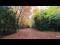 LONDON virtual run | Virtual FOREST run | Virtual running videos for treadmill 4K | Running scenery