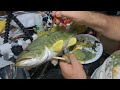 Wood Carving a Largemouth Bass Part part 4 Painting Base Colors