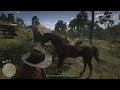Red Dead Redemption 2_2
