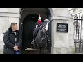 The King's horse has got a ticklish tongue! 😊 London 🇬🇧 20-11-23